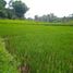  Land for sale in Ngamprah, Bandung, Ngamprah