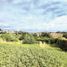  Land for sale in Chile, Puchuncavi, Valparaiso, Valparaiso, Chile