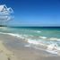  Terreno (Parcela) en venta en Othon P Blanco, Quintana Roo, Othon P Blanco