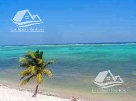  Terreno (Parcela) en venta en Othon P Blanco, Quintana Roo, Othon P Blanco