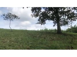  Land for sale in Pereira, Risaralda, Pereira