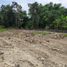  Land for sale in Bantul, Yogyakarta, Pajangan, Bantul