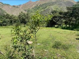  Terreno (Parcela) en venta en Loja, Loja, Loja, Loja