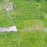  Land for sale in Depok, Sleman, Depok