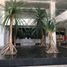 3 Habitación Apartamento en venta en Acapulco, Guerrero, Acapulco
