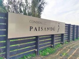  Terreno (Parcela) en venta en Maipo, Santiago, Buin, Maipo