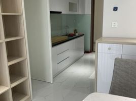 1 Phòng ngủ Căn hộ for rent in Phường 4, Quận 4, Phường 4