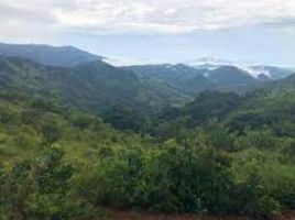  Terreno (Parcela) en venta en Panamá Oeste, Chame, Chame, Panamá Oeste