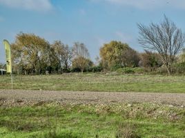  Terreno (Parcela) en venta en Maule, Pelarco, Talca, Maule