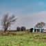  Terreno (Parcela) en venta en Maule, Pelarco, Talca, Maule