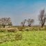  Terreno (Parcela) en venta en Maule, Pelarco, Talca, Maule