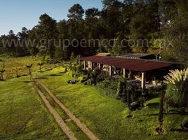  Terreno (Parcela) en venta en Mazamitla, Jalisco, Mazamitla