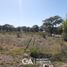  Land for sale in Calamuchita, Cordoba, Calamuchita