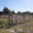  Land for sale in Calamuchita, Cordoba, Calamuchita