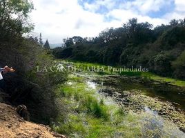  Terreno (Parcela) en venta en Valparaíso, Casa Blanca, Valparaíso, Valparaíso