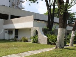  Terreno (Parcela) en venta en Cunduacan, Tabasco, Cunduacan