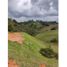Terrain à vendre à Rionegro, Antioquia, Rionegro, Antioquia