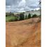 Terrain à vendre à Rionegro, Antioquia, Rionegro, Antioquia