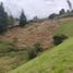 Terrain à vendre à Rionegro, Antioquia, Rionegro, Antioquia