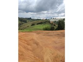 Terrain à vendre à Rionegro, Antioquia, Rionegro, Antioquia
