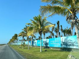  Grundstück zu verkaufen in Sinanche, Yucatan, Sinanche
