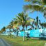  Land for sale in Sinanche, Yucatan, Sinanche