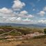  Terrain for sale in Piedecuesta, Santander, Piedecuesta