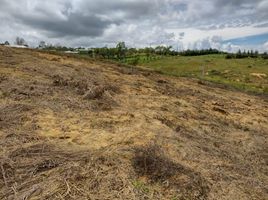  Terrain for sale in Piedecuesta, Santander, Piedecuesta