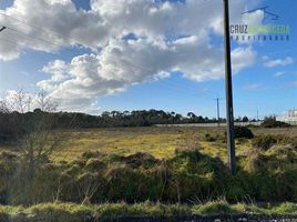  Land for sale in Los Lagos, Puerto Montt, Llanquihue, Los Lagos