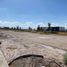  Terreno (Parcela) en venta en Torreon, Coahuila, Torreon