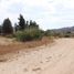  Terreno (Parcela) en venta en Maule, San Javier, Linares, Maule