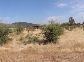  Terreno (Parcela) en venta en Maule, San Javier, Linares, Maule