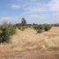  Terreno (Parcela) en venta en Maule, San Javier, Linares, Maule