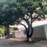  Grundstück zu verkaufen in Medellin, Antioquia, Medellin