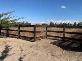  Land for sale in Chile, Santiago, Santiago, Santiago, Chile