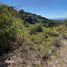  Terrain for sale in San Blas, Nayarit, San Blas