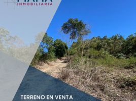  Terrain for sale in Nayarit, San Blas, Nayarit