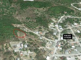  Terrain for sale in San Blas, Nayarit, San Blas