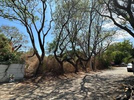  Land for sale in Ixtlahuacan De Los Membrillos, Jalisco, Ixtlahuacan De Los Membrillos