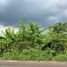  Terrain for sale in Godeyan, Sleman, Godeyan