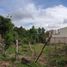  Land for sale in Popayan, Cauca, Popayan