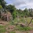  Land for sale in Popayan, Cauca, Popayan