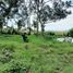  Land for sale in Selemadeg, Tabanan, Selemadeg