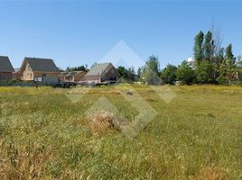  Terreno (Parcela) en venta en Maipo, Santiago, Buin, Maipo