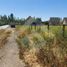  Terreno (Parcela) en venta en Maipo, Santiago, Buin, Maipo
