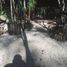  Grundstück zu verkaufen in Puerto Morelos, Quintana Roo, Puerto Morelos