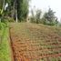  Land for sale in Bandung, West Jawa, Banjaran, Bandung