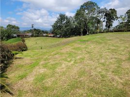  Terreno (Parcela) en venta en El Carmen De Viboral, Antioquia, El Carmen De Viboral