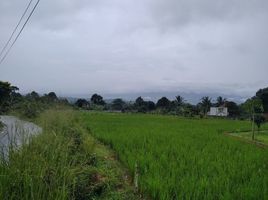  Tanah for sale in Cijeruk, Bogor, Cijeruk