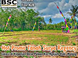  Land for sale in Malang Regency, East Jawa, Kepanjen, Malang Regency